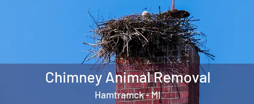  Chimney Animal Removal Hamtramck - MI