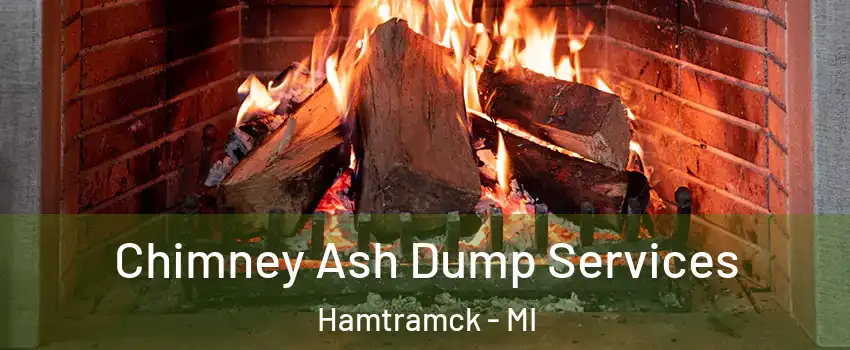  Chimney Ash Dump Services Hamtramck - MI