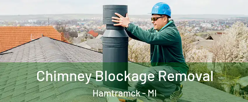  Chimney Blockage Removal Hamtramck - MI