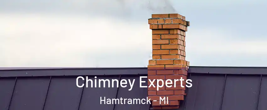 Chimney Experts Hamtramck - MI