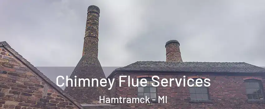  Chimney Flue Services Hamtramck - MI