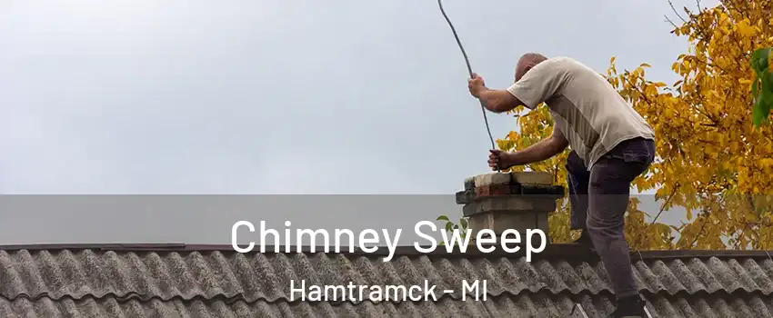  Chimney Sweep Hamtramck - MI