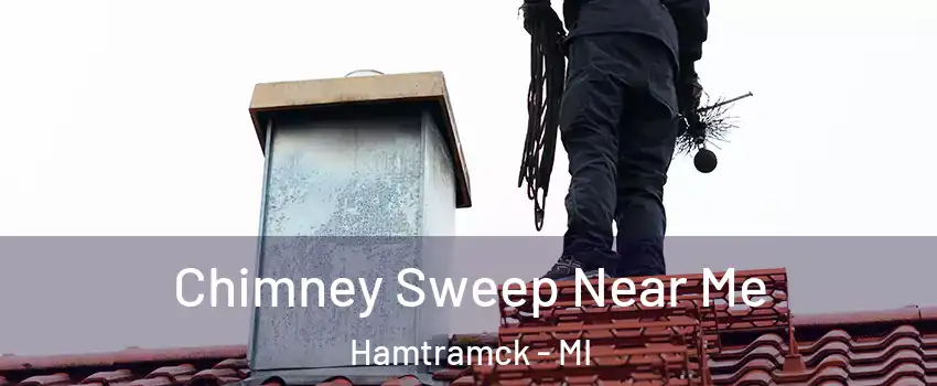  Chimney Sweep Near Me Hamtramck - MI
