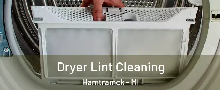  Dryer Lint Cleaning Hamtramck - MI
