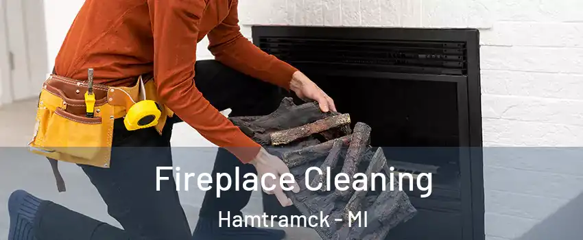  Fireplace Cleaning Hamtramck - MI