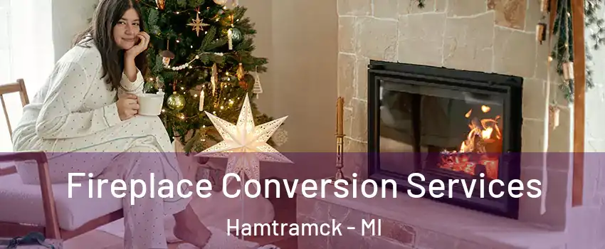  Fireplace Conversion Services Hamtramck - MI
