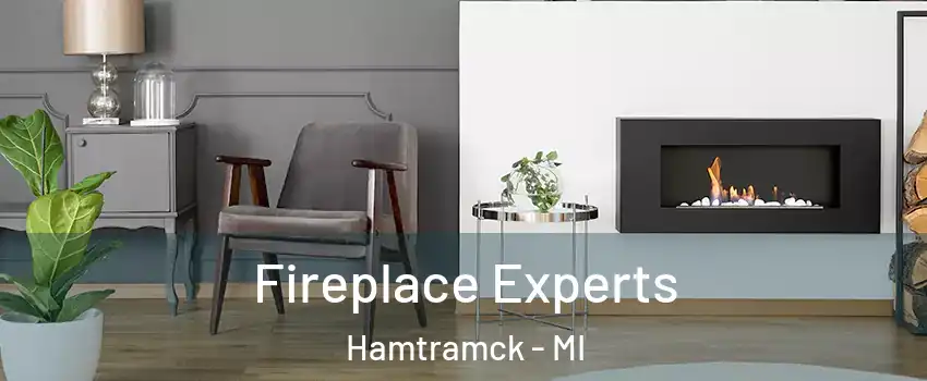  Fireplace Experts Hamtramck - MI