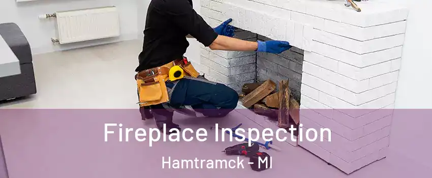  Fireplace Inspection Hamtramck - MI