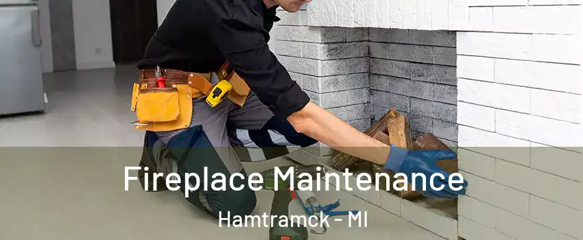  Fireplace Maintenance Hamtramck - MI