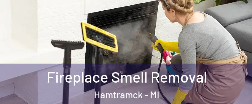  Fireplace Smell Removal Hamtramck - MI