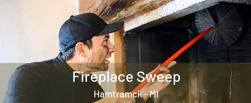  Fireplace Sweep Hamtramck - MI