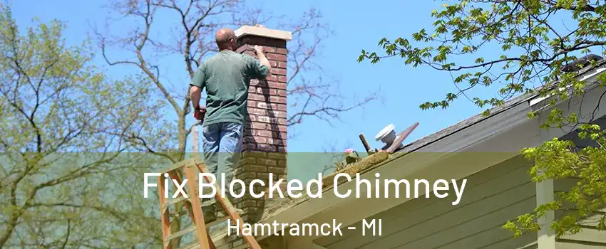  Fix Blocked Chimney Hamtramck - MI