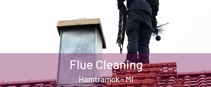  Flue Cleaning Hamtramck - MI