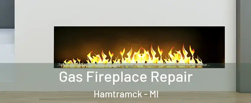  Gas Fireplace Repair Hamtramck - MI