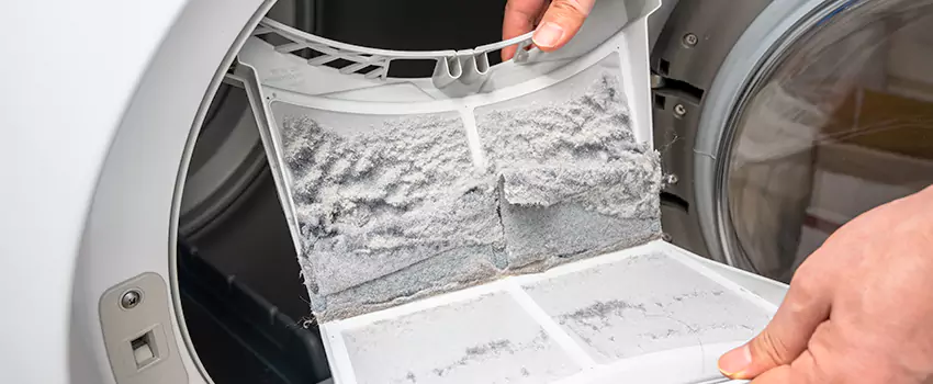 Best Dryer Lint Removal Company in Hamtramck, Michigan