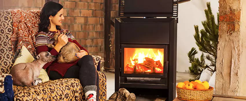 Wood Stove Chimney Cleaning Services in Hamtramck, MI