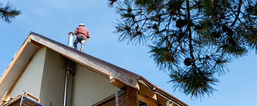 Birds Removal Contractors from Chimney in Hamtramck, MI