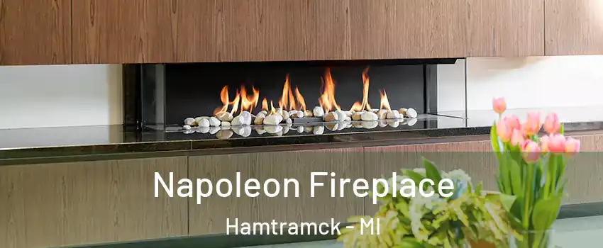  Napoleon Fireplace Hamtramck - MI