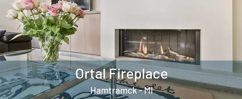 Ortal Fireplace Hamtramck - MI