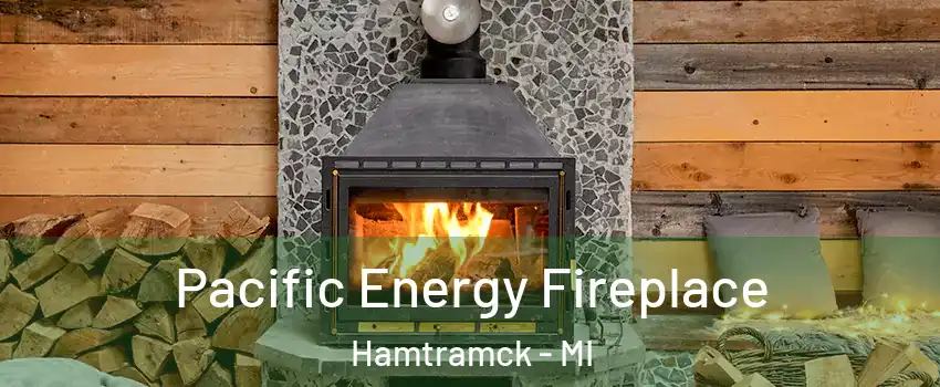  Pacific Energy Fireplace Hamtramck - MI