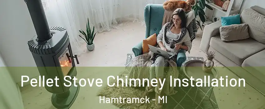  Pellet Stove Chimney Installation Hamtramck - MI