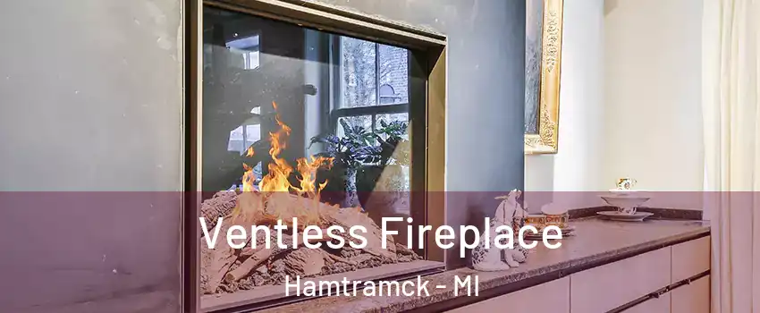  Ventless Fireplace Hamtramck - MI